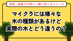 マイクラの木材図鑑【植物図鑑シリーズ第1回】実社会での木材の使われ方も解説