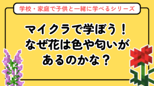 マイクラの花・染料図鑑【植物図鑑シリーズ第4回】色と歴史の豆知識つき